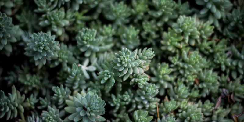 0-3岁婴儿安全座椅选购全攻略：守护宝宝出行安全，从儿童用品到婴幼儿服装的全面考量