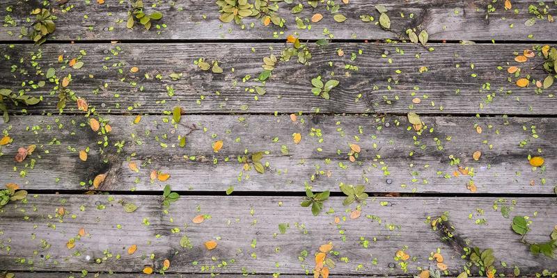 亚亚星母婴产品全解析：如何为宝宝挑选安全优质的儿童用品