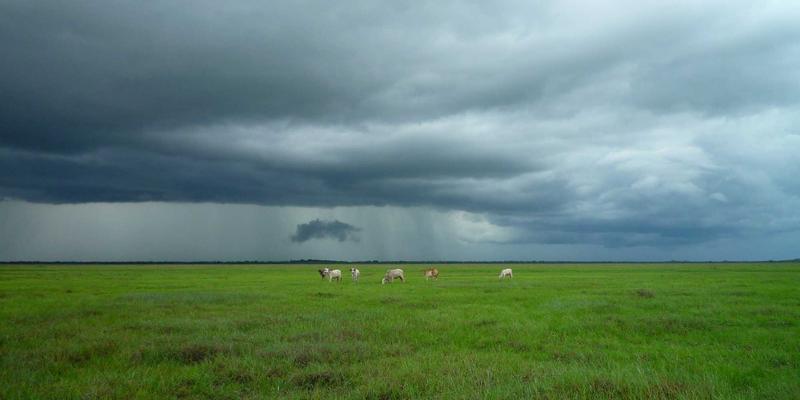 亚亚星育儿指南：如何用婴儿玩具与育儿产品打造安全成长环境