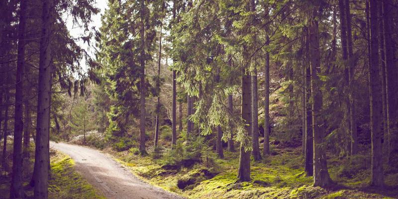 儿童水杯进阶全攻略：从鸭嘴杯、吸管杯到敞口杯的科学过渡技巧