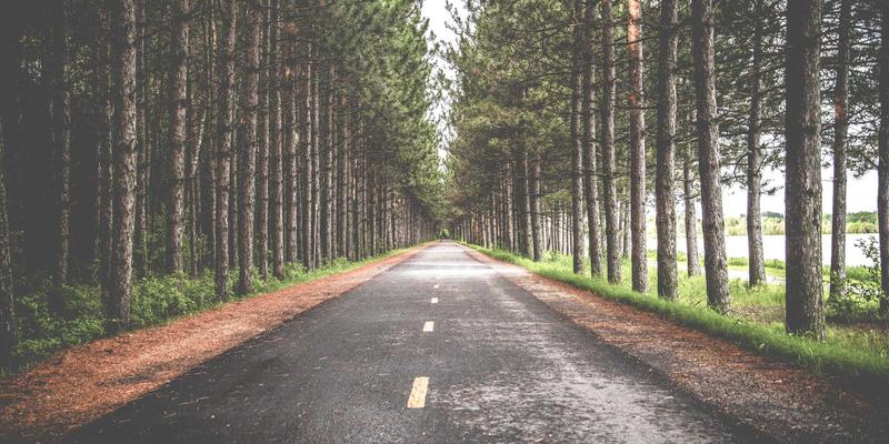 儿童辅食添加全攻略：从高铁米粉到自主进食，亚亚星育儿产品助您科学喂养