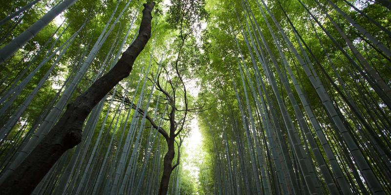 儿童防晒衣真的有用吗？亚亚星专业解析UPF值、面料与选购避坑指南