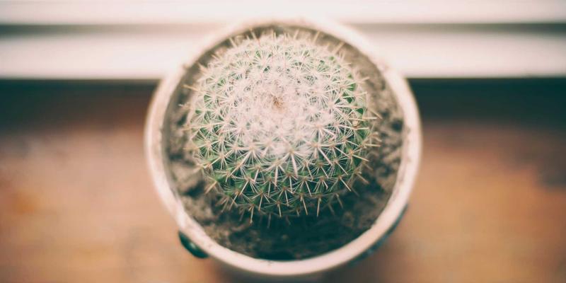 儿童餐具安全深度解析：从材质认证到设计细节的选购要点 | 亚亚星育儿指南