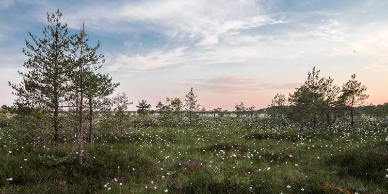 婴儿背带/腰凳选购全攻略：从脊柱保护到正确佩戴，守护宝宝健康成长