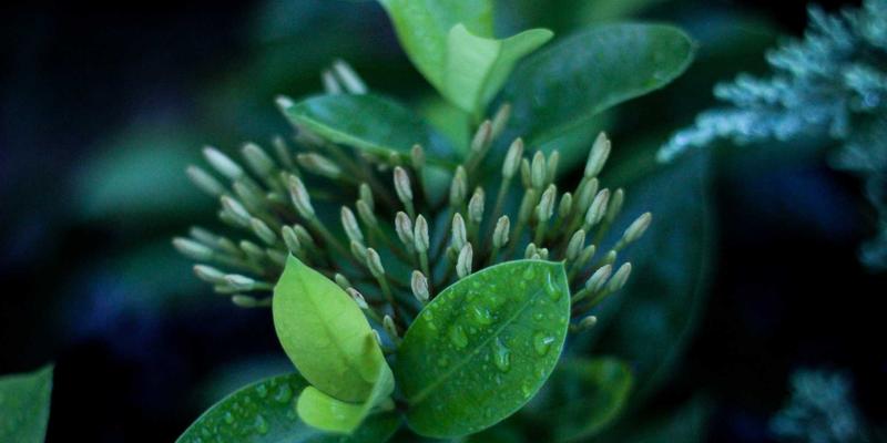 婴幼儿洗护用品成分全解析：从无泪配方到天然植萃，敏感肌宝宝选购指南