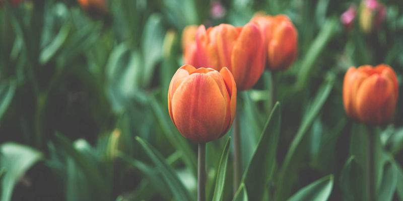 宝宝防晒全攻略：物理防晒与化学防晒成分安全解析，守护母婴健康